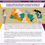 Boletín No. 2 – Abril – Junio – 2025