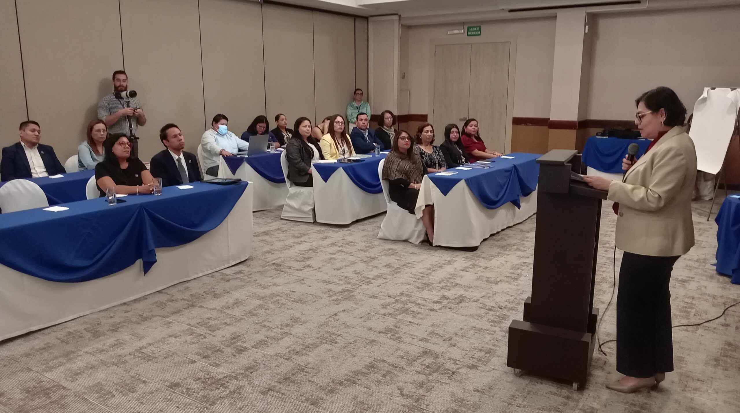 Diplomado: Protección del derecho de las mujeres a la propiedad y el patrimonio en los procesos civiles y mercantiles